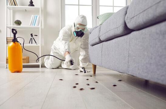 Cockroach Control Services in Karachi - Latest techniques